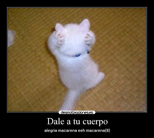 Dale a tu cuerpo - 