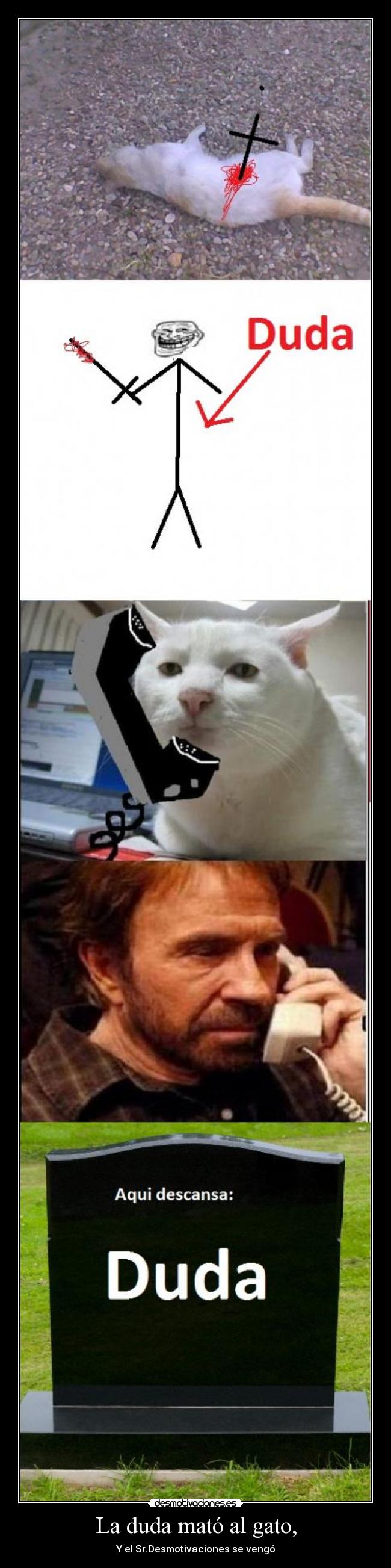 La duda mató al gato, -