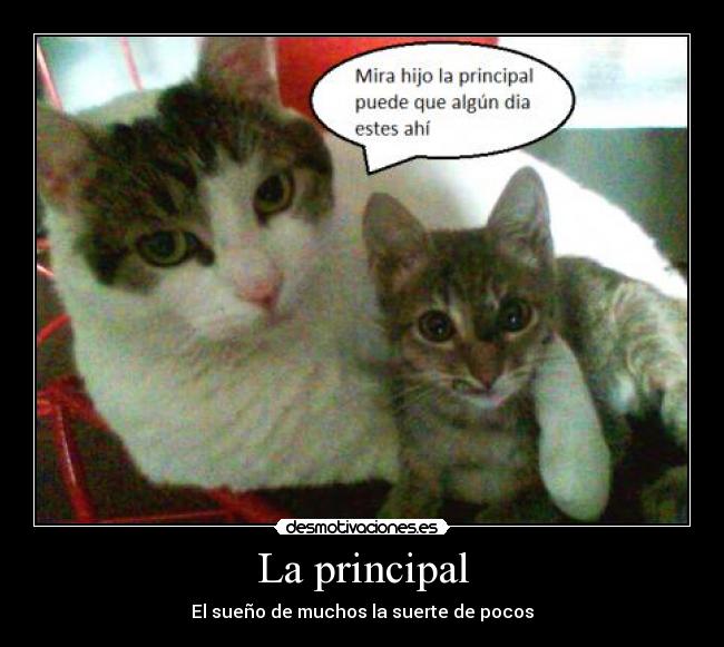 La principal -
