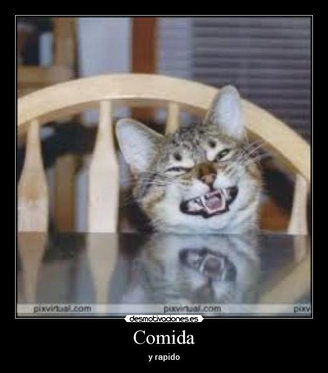 Comida - y rapido