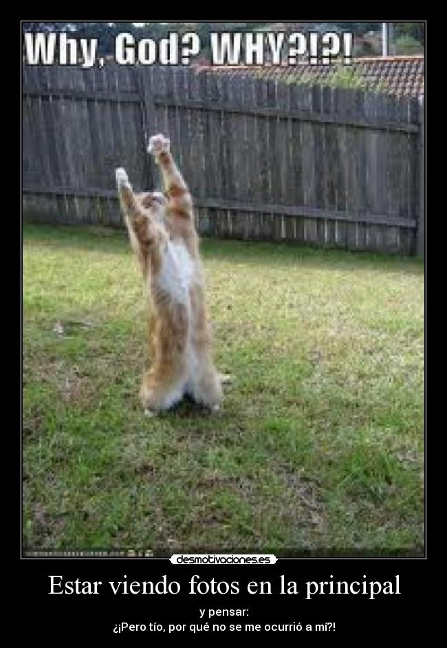 Estar viendo fotos en la principal -