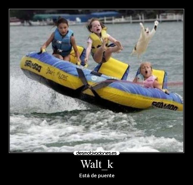 Walt_k - Está de puente
