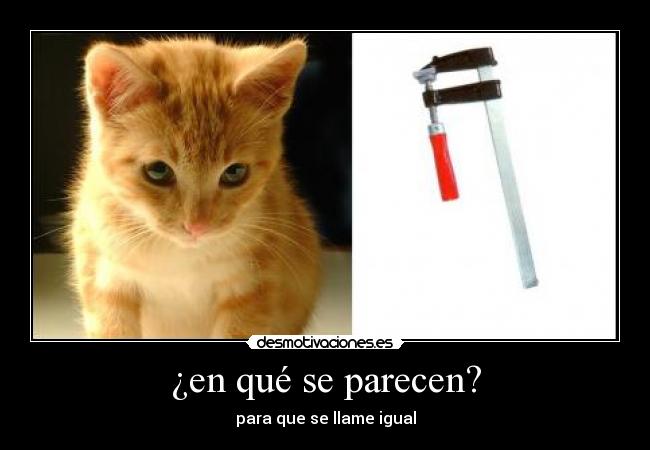 ¿en qué se parecen? - para que se llame igual