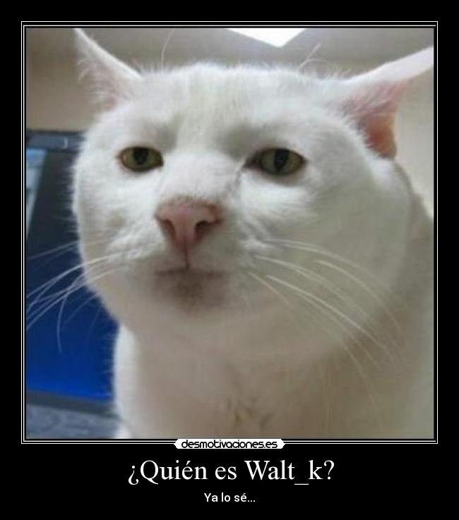 carteles walt_k desmotivaciones