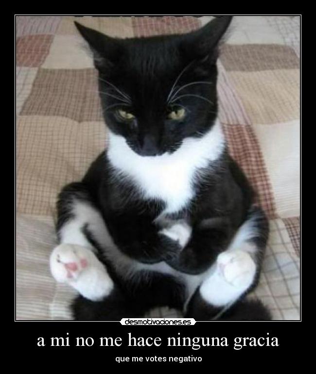 a mi no me hace ninguna gracia - que me votes negativo