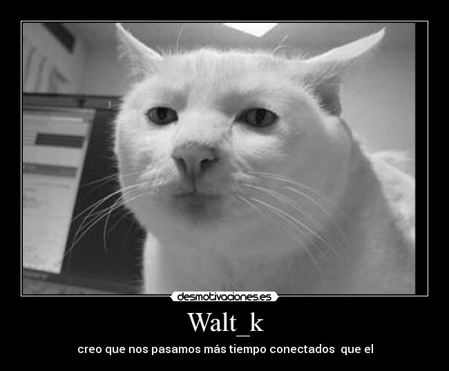 Walt_k - 
