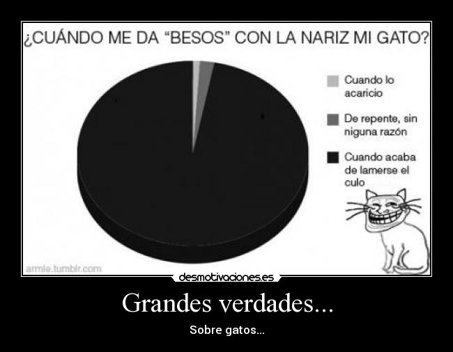 Grandes verdades... - 