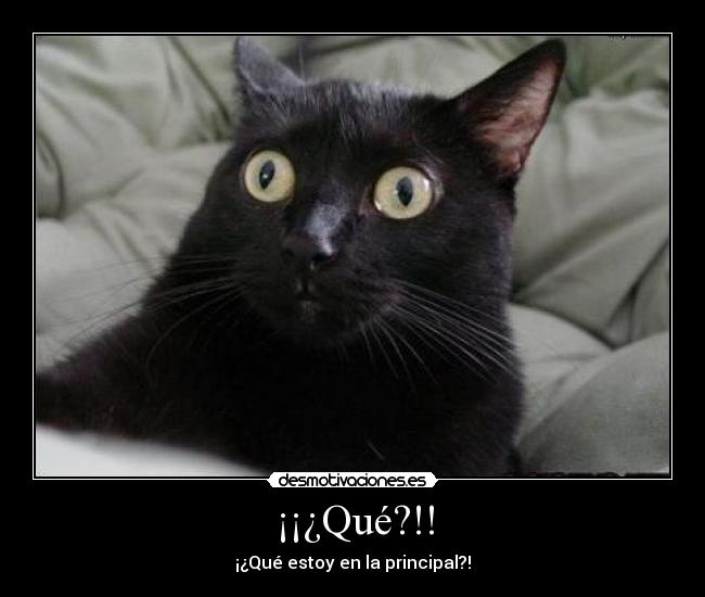 ¡¡¿Qué?!! -