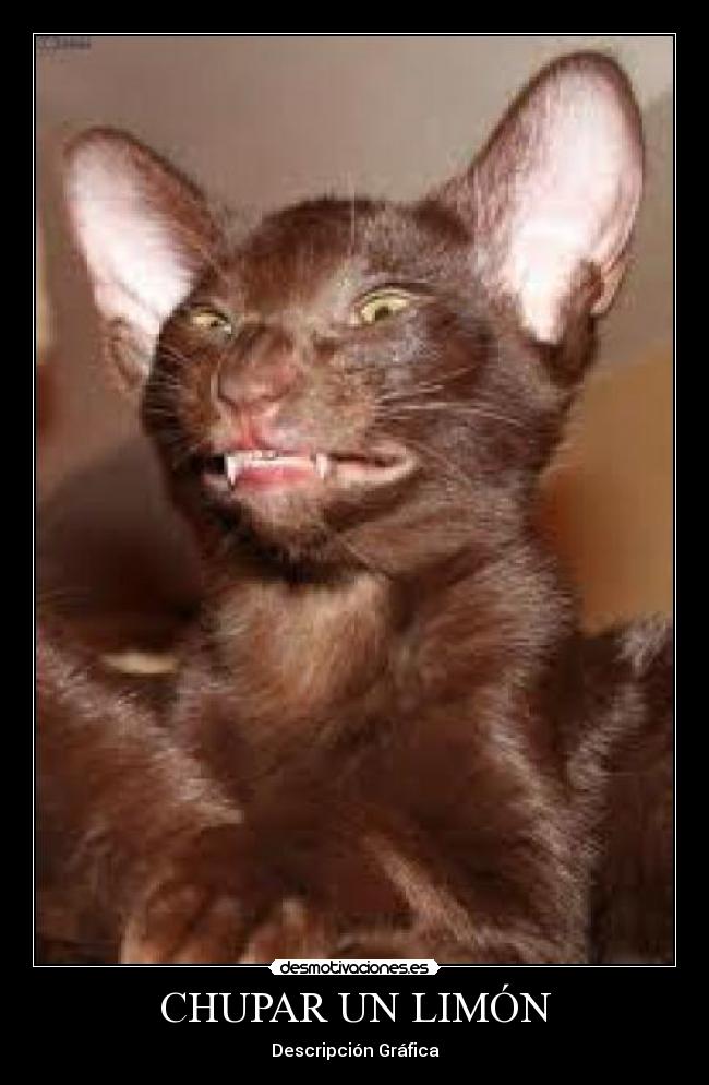 carteles limon desmotivaciones