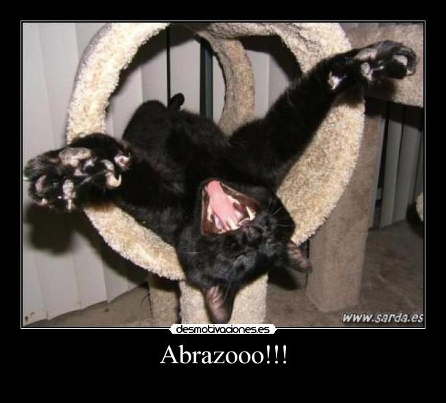 Abrazooo!!! - 