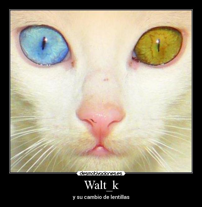 Walt_k - 