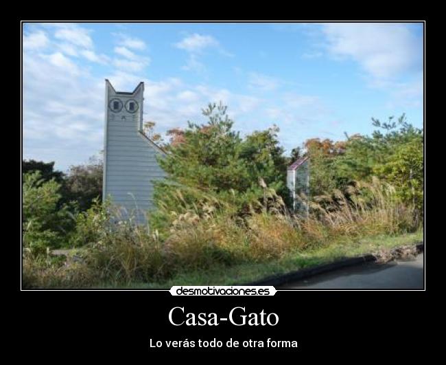 Casa-Gato - 