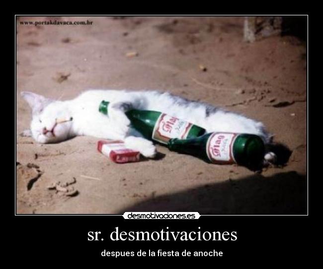 sr. desmotivaciones - despues de la fiesta de anoche