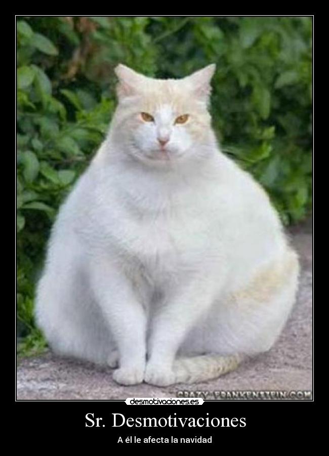 Sr. Desmotivaciones - A él le afecta la navidad