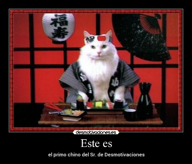 Este es - el primo chino del Sr. de Desmotivaciones