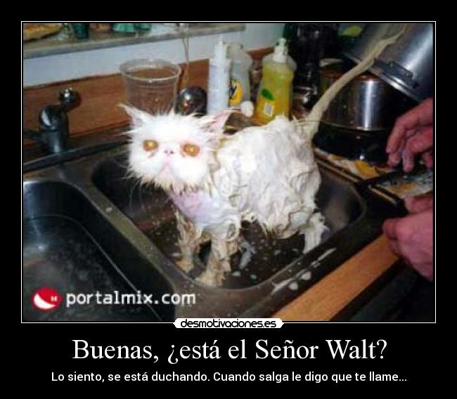 Buenas, ¿está el Señor Walt? - 