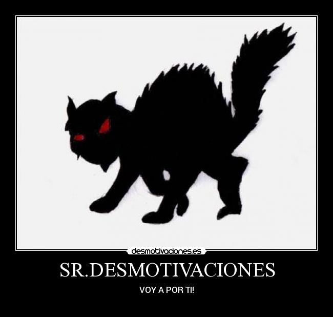 SR.DESMOTIVACIONES - VOY A POR TI!