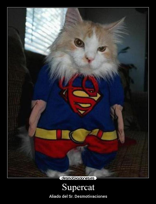 Supercat - Aliado del Sr. Desmotivaciones