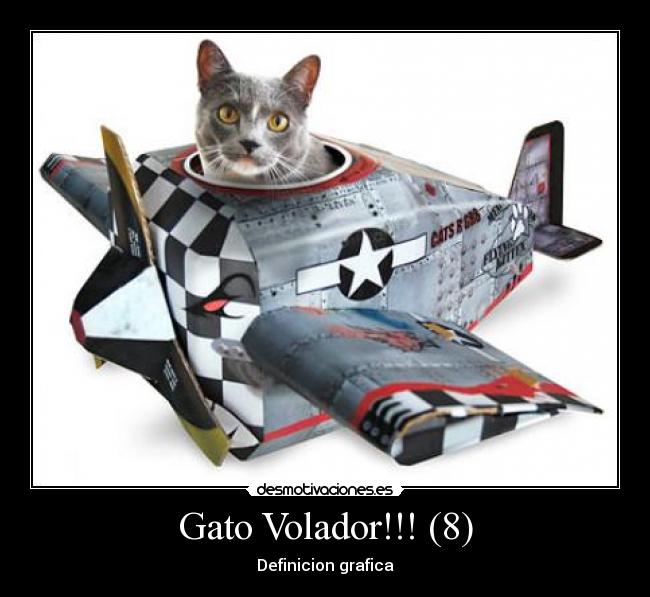 Gato Volador!!! (8) - Definicion grafica