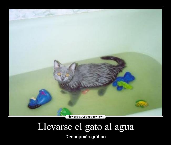 Llevarse el gato al agua - 