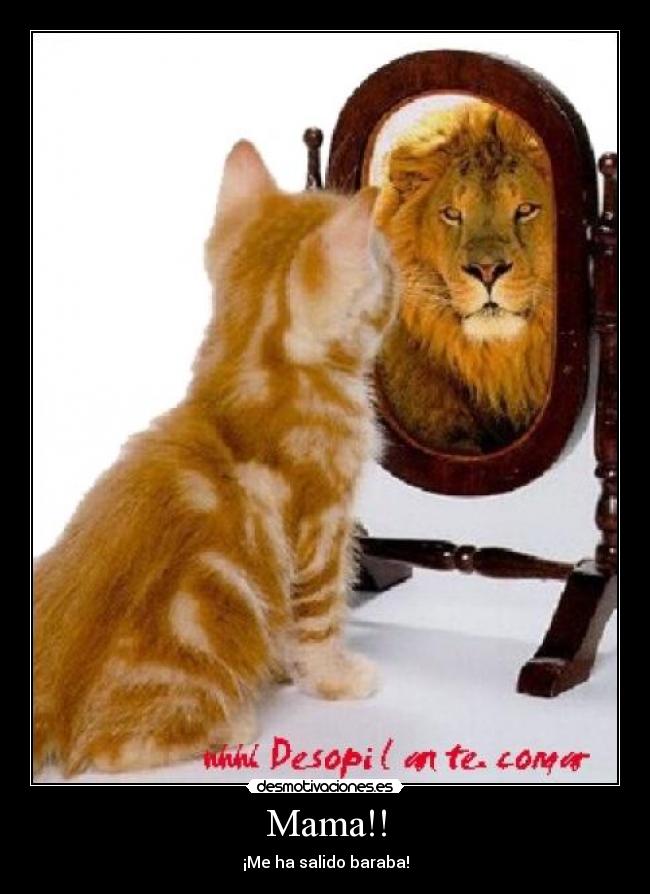 Mama!! - ¡Me ha salido baraba!