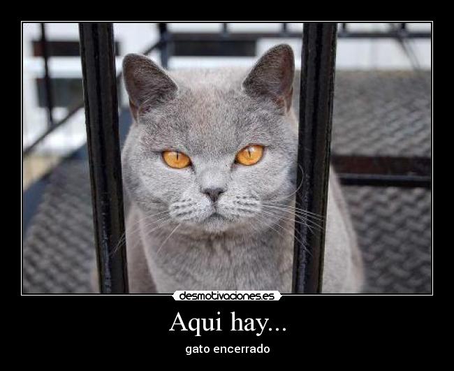 Aqui hay... -