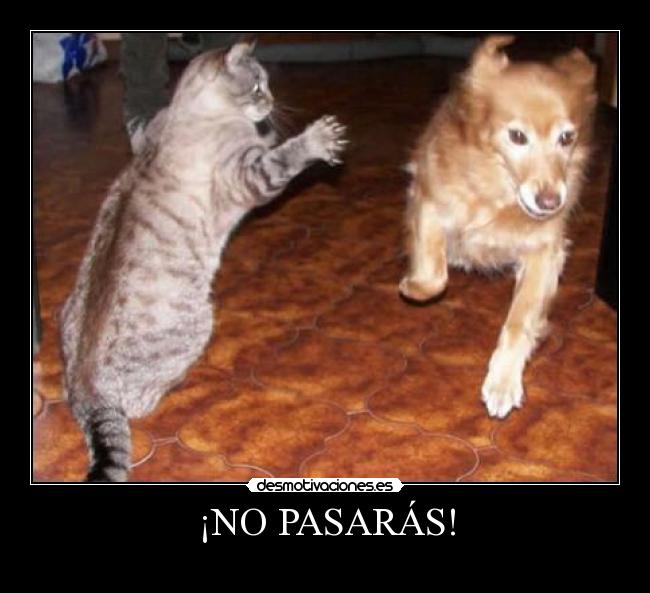 ¡NO PASARÁS! - 