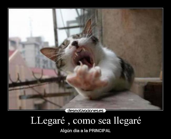 LLegaré , como sea llegaré - 