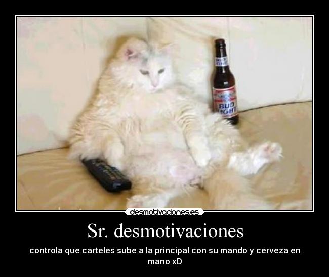 Sr. desmotivaciones - 