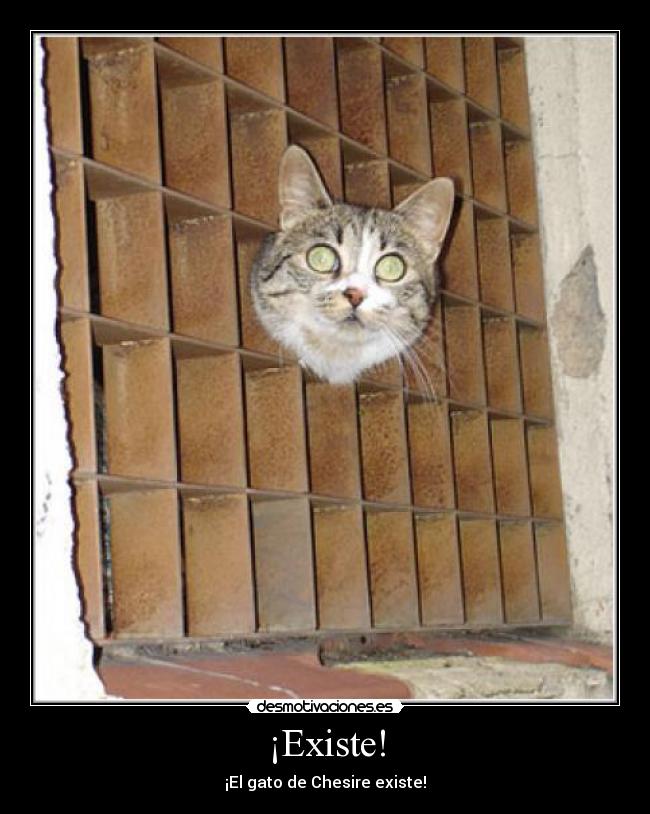 ¡Existe! - ¡El gato de Chesire existe!