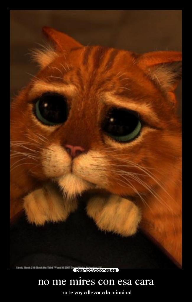 no me mires con esa cara - 