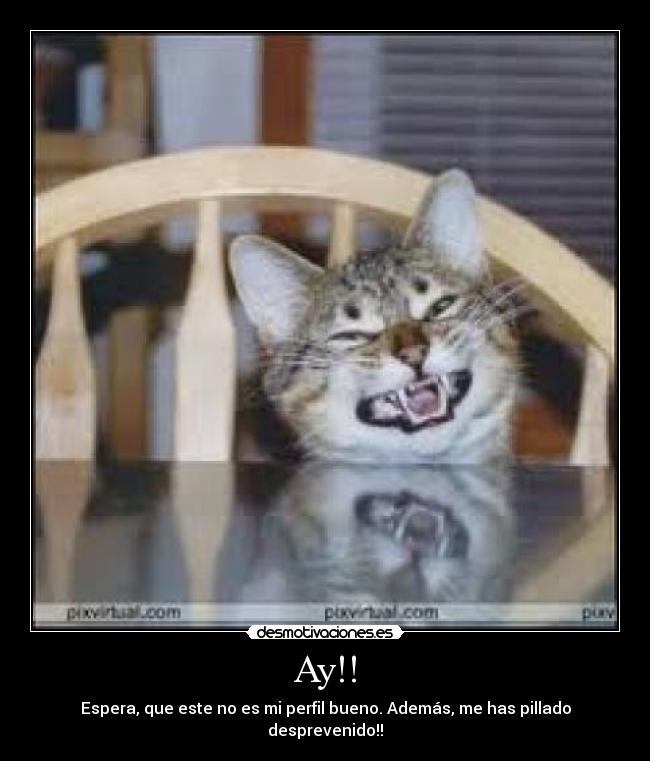 Ay!! - Espera, que este no es mi perfil bueno. Además, me has pillado desprevenido!!