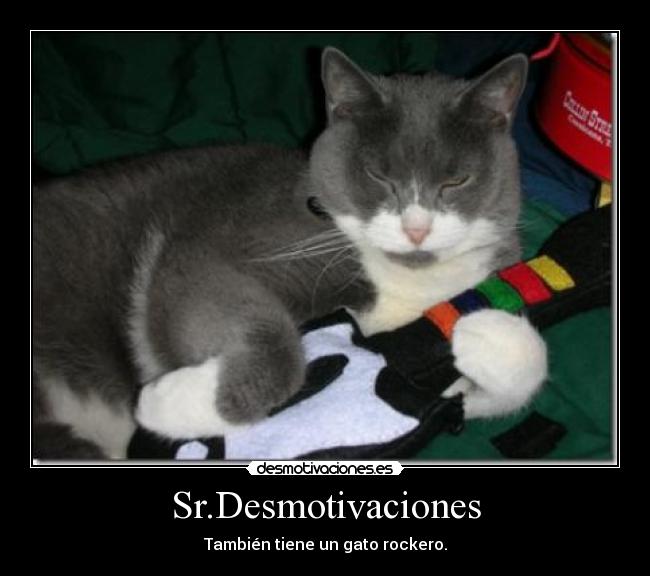 Sr.Desmotivaciones - También tiene un gato rockero.