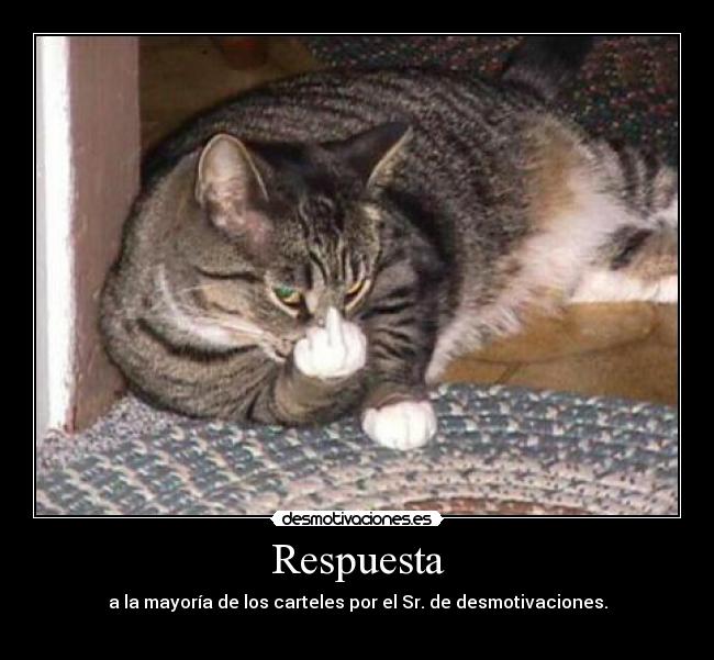Respuesta - 