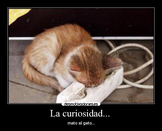 La curiosidad... -