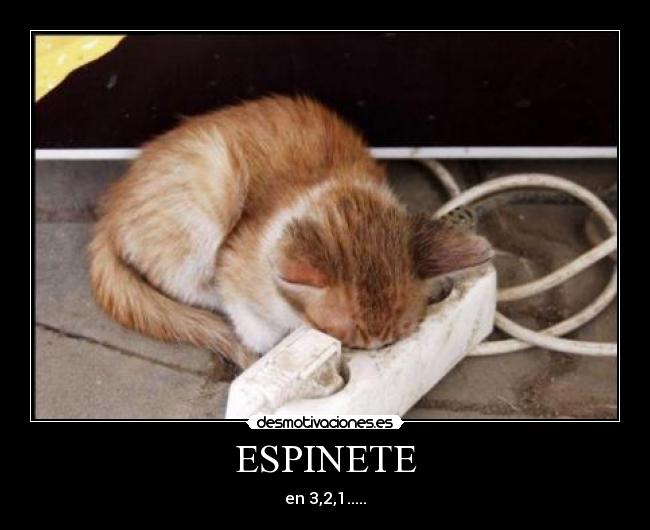 ESPINETE -