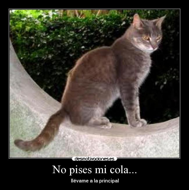 No pises mi cola... -