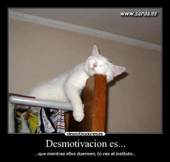 Desmotivacion es... - 