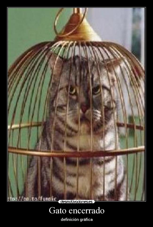 Gato encerrado - definición gráfica