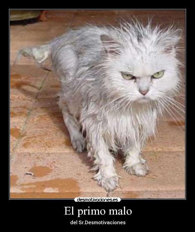 El primo malo - 