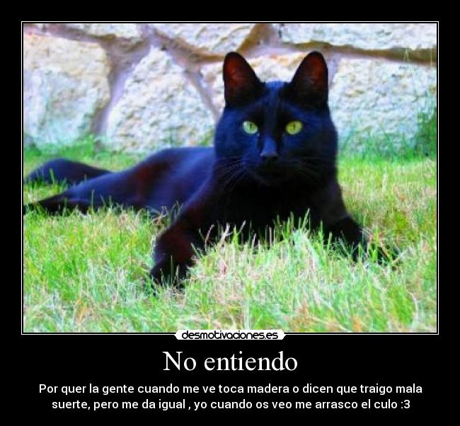 No entiendo -