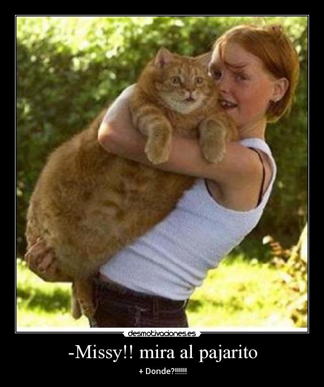 -Missy!! mira al pajarito - 