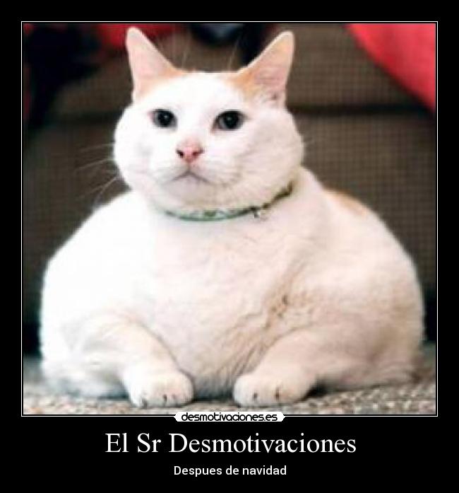 El Sr Desmotivaciones - Despues de navidad