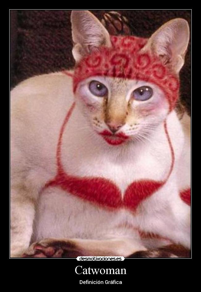 Catwoman - 