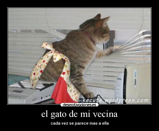el gato de mi vecina -