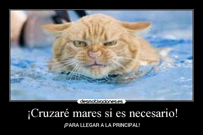 ¡Cruzaré mares si es necesario! - ¡PARA LLEGAR A LA PRINCIPAL!