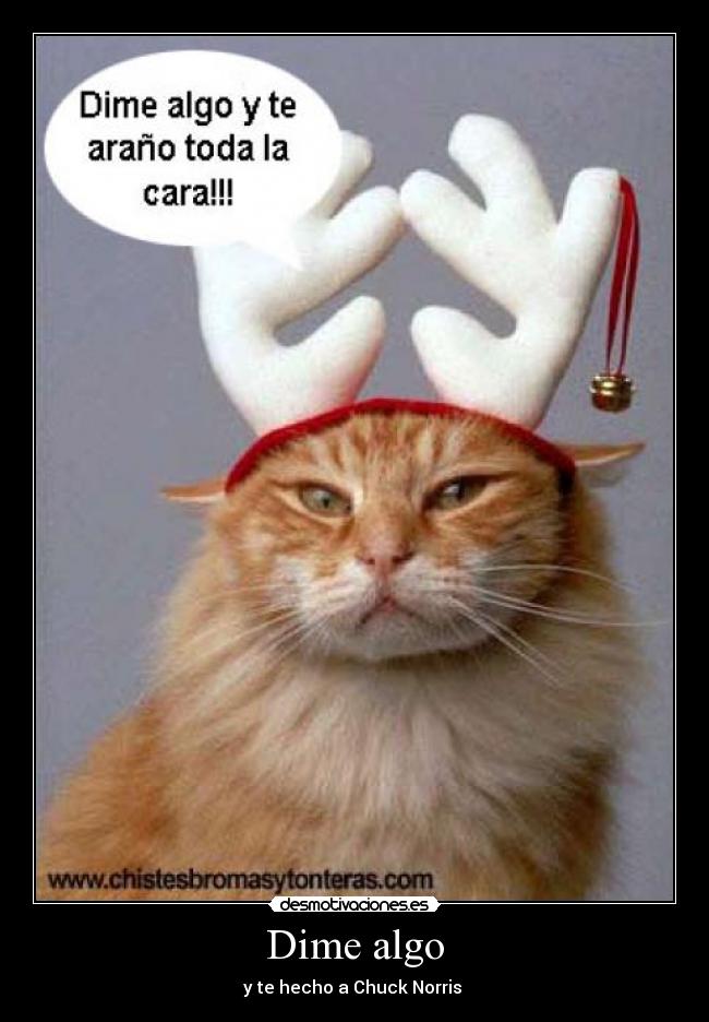 Dime algo - y te hecho a Chuck Norris