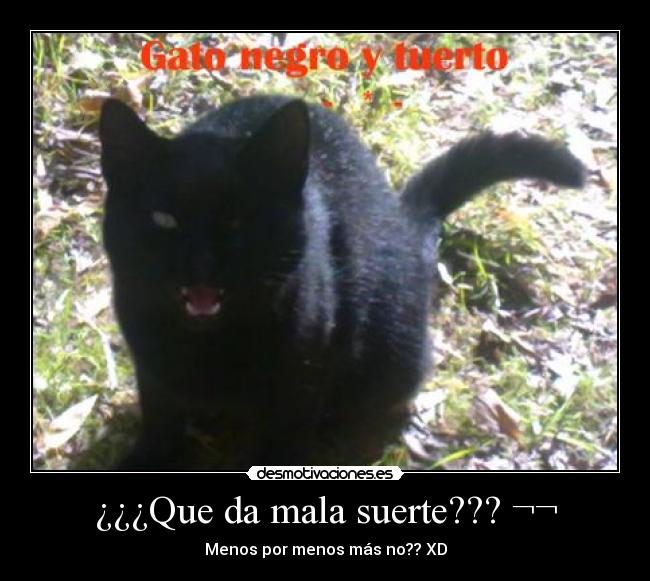 carteles gatosnegro tuerto mala suerte desmotivaciones