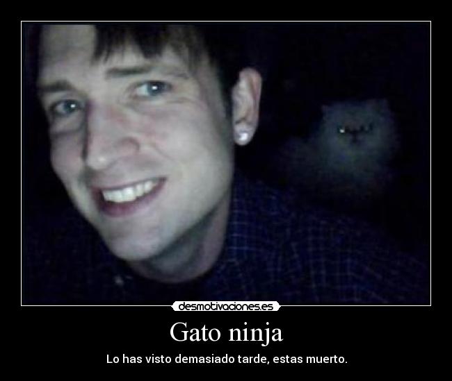 Gato ninja - Lo has visto demasiado tarde, estas muerto.