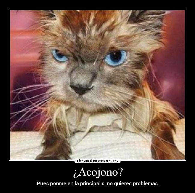 ¿Acojono? - Pues ponme en la principal si no quieres problemas.